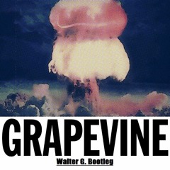 Tiësto - GRAPEVINE - (Walter G. Bootleg)