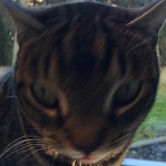 lowkii - fakka je bitch