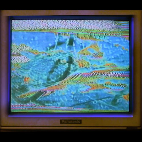 TV SIGNAL