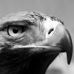 richtig gutes arbeiten