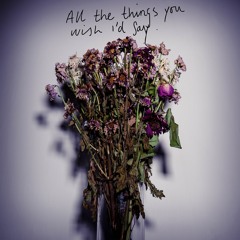 Sunstinger - All The Things You Wish I'd Say