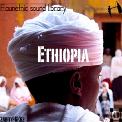 Ethiopia Sound Library  - Human Activity Preview