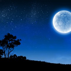 Dreams