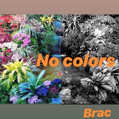 NO Colors  by.Brac