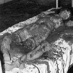 The Novocheboksarsk Cannibal - Vladimir Nikolayev (Влади́мир Никола́евич Никола́ев)