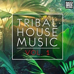 Tribal House