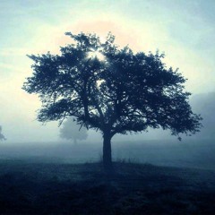 Mexican Moon (Remix)