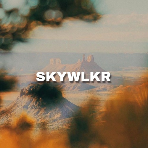 SKYWLKR