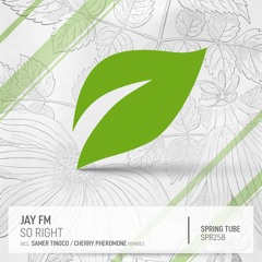 Jay FM - So Right (Samer Tinoco Remix)