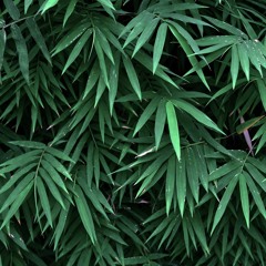 #popdemcrémant vol. 3 by Nico Teen - Flash