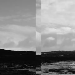 it's a cow, not a sparrow