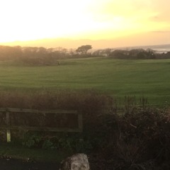 Nashville Blues Trip Late & Live By The Dublin Bluegrass Collective