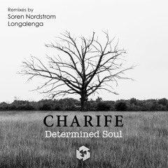 Determined Soul EP
