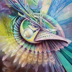 Psychedelica Exploration Mix