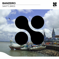 Santti, Birds - Banzeiro (Extended Mix)