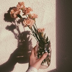 H.E.R - Could've Been (acapella cover)