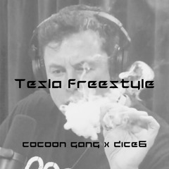 Tesla Freestyle - The Cocoon Gang X Dice6