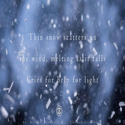 Thin Snow Scatters On The Wind - Melting As It Falls - Cries For Help For Light (Naviarhaiku 256)