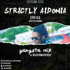 STRICKLY AIDONIA BY SELECTABLUSTEELE