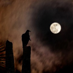 Vulture Cry 2.0 Slowed x Killa Mike x Spark