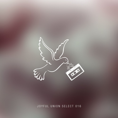 Joyful Union Select 016