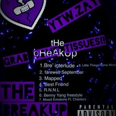 Bre’s interlude...