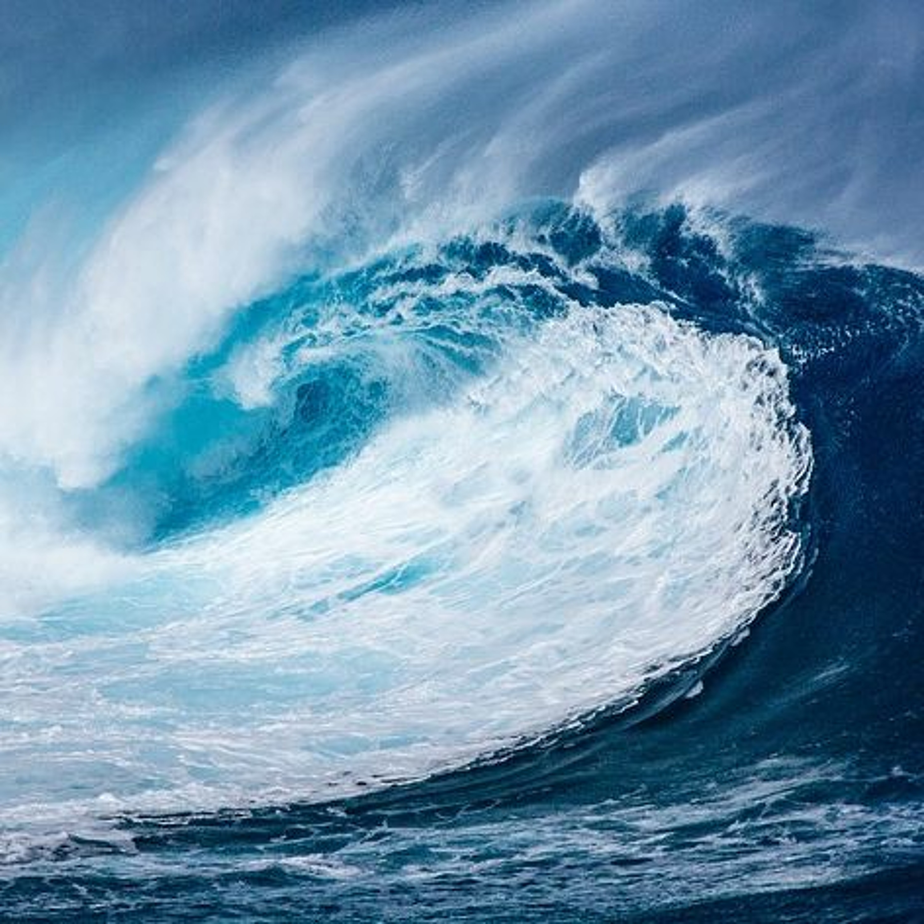 Morning with Michele - The Energy Podcast