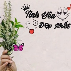 最美的情緣 - 魏新雨 [ Tình Yêu Đẹp Nhất - Nguỵ Tân Vũ ] 《 抖音 Tik Tok 》