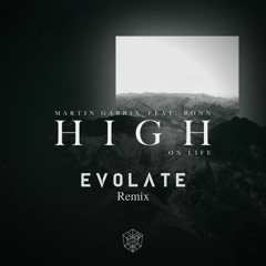 Martin Garrix - High On Life (Evolate Remix) [Pitched Up]