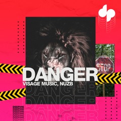 Visage Music, NUZB - Danger (Original Mix) [EXTENDED]