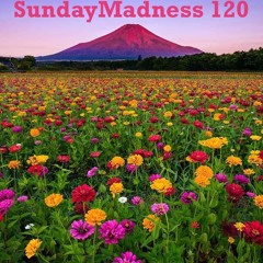 TuneBox (Shoto) - SundayMadness120