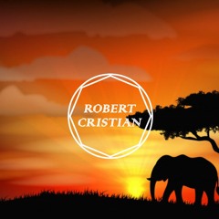 Robert Cristian - Aasha (Original Mix)