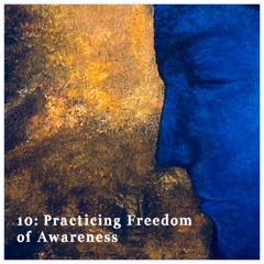 10: Practicing Freedom Of Awareness