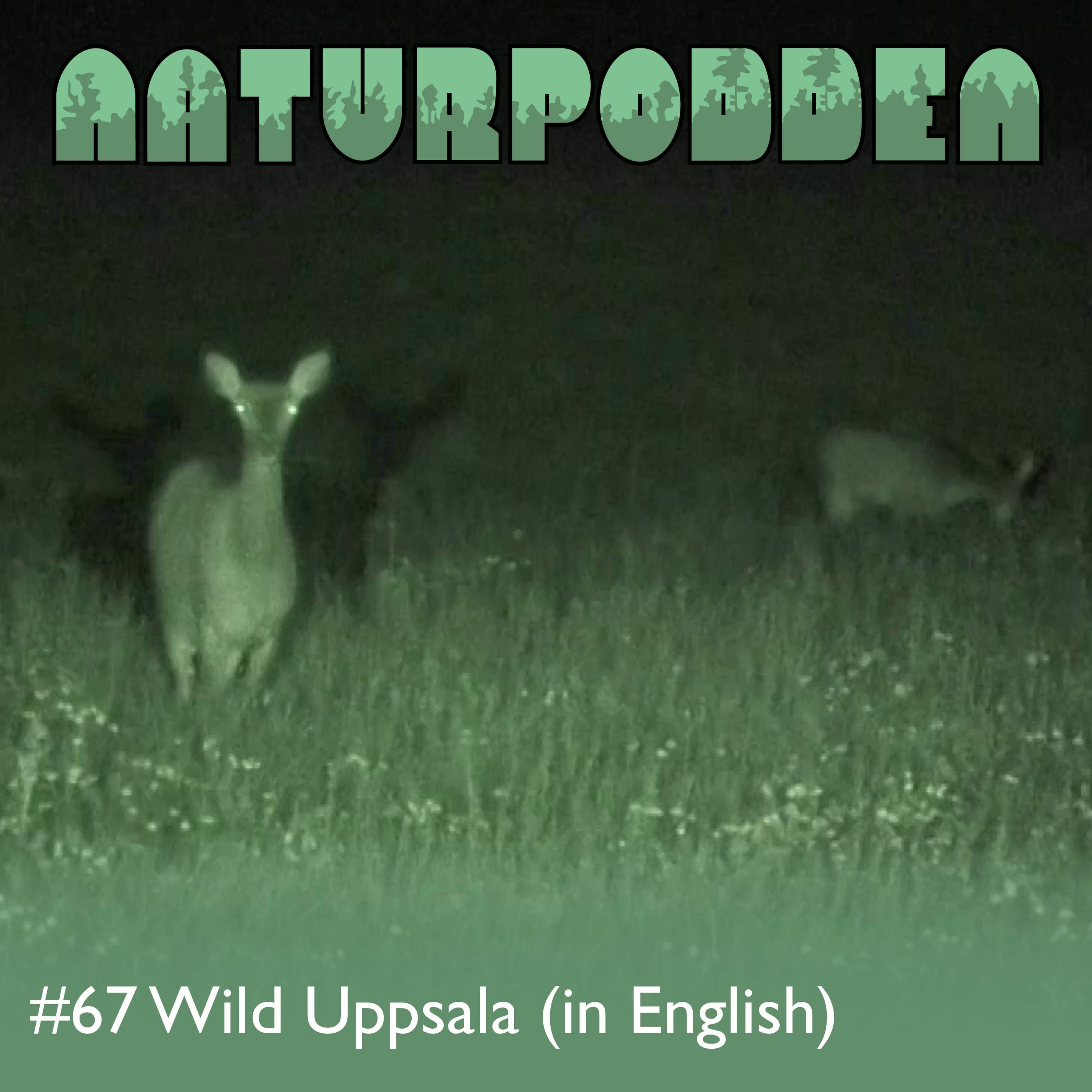 Naturpodden - Producerad av Biotopia