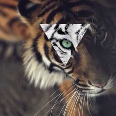 Diamond Tiger