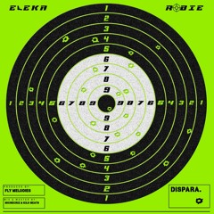 Dispara (robie x eleka)