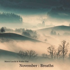 Marco Lucchi & Walter Fini - November : Breaths