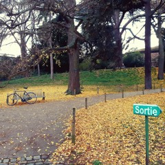 D2 B2B Arnault S - Groove mix