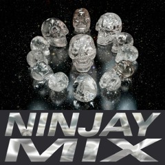 S9 EXCLUSIVE 03 / NINJAY MIX — The Rise of Jutsu
