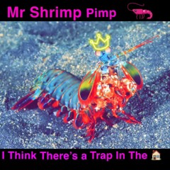 I Think There’s a Trap In The House