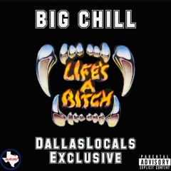 Big Chill - Life's A Bitch