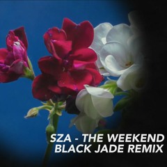 SZA - The Weekend (Black Jade Remix)