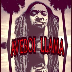 Stupid Shit- AveBoii Lama x Lox$