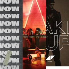 More Than You Know vs Wake Me Up vs WOW