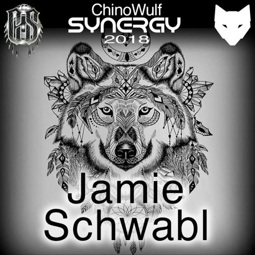 SYNERGY 2018_Jamie Schwabl