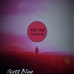 PNK TRIP (Freestyle)[prod.section90]