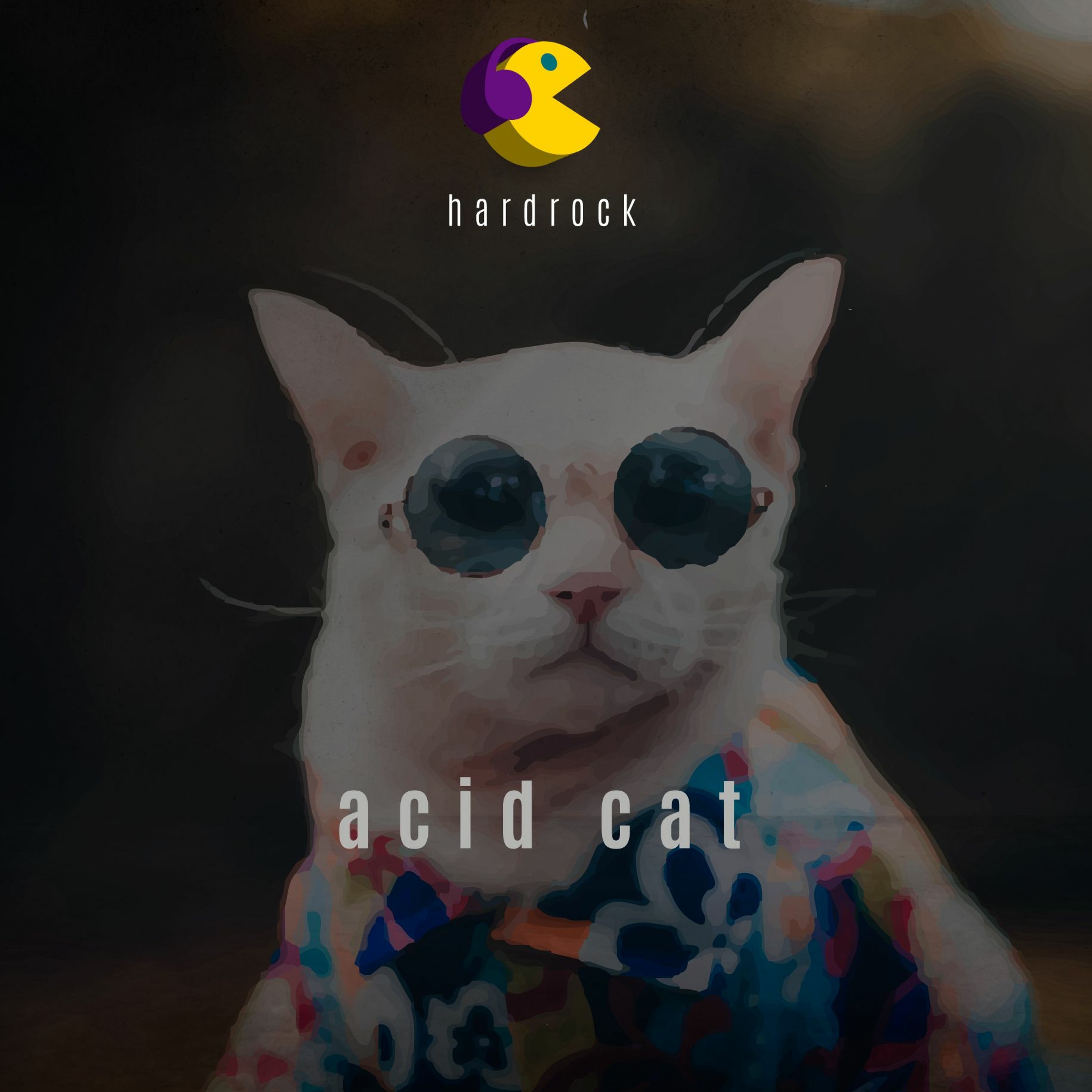 909 Acid Cat- HardRock (original Mix)