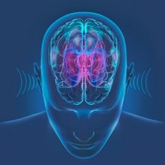 New Tracks Test (FREE DOWNLOAD)