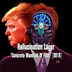 Hallucination Layer 'Concrete Manifold Of Filth' [2018]
