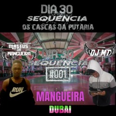 SEQUÊNCIA #001 DJ MT/ DJ MATEUS DA MANGUEIRA 💚💗🇦🇪